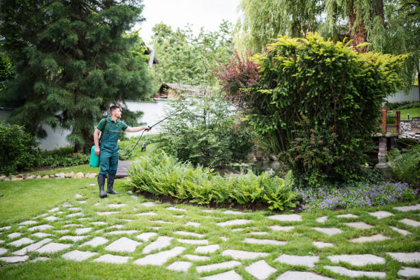 Best Affordable Pest Control Services  in Vevay, IN