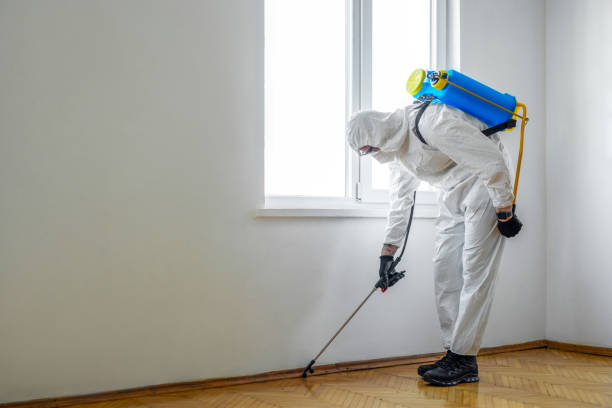 Best Flea Control Services  in Vevay, IN