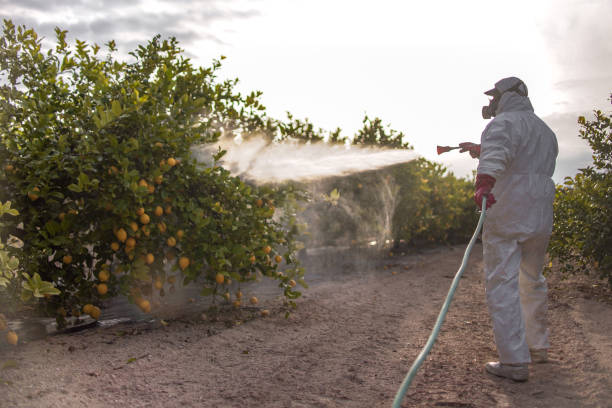 Best Pest Prevention Services  in Vevay, IN