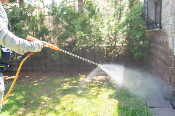 Best Wasp Removal Services  in Vevay, IN