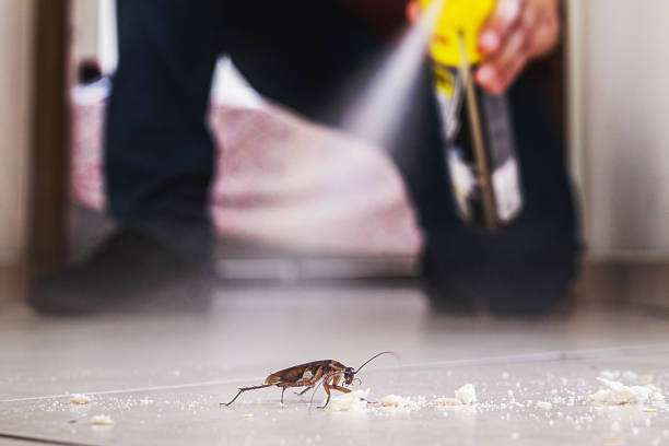 Pest Control for Restaurants in Vevay, IN
